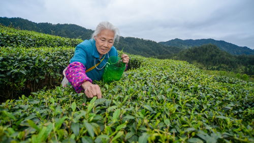 郴州新闻网